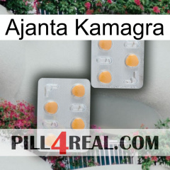 Ajanta Kamagra 25